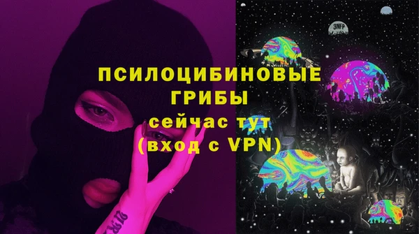 гидра Нея