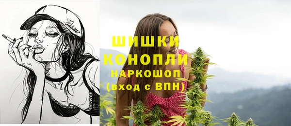 меф Новодвинск