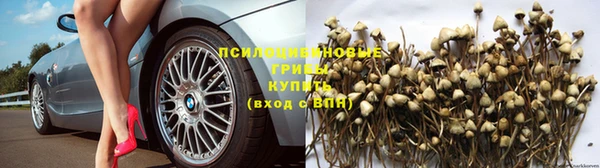 гидра Нея