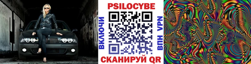 купить закладку  Калининск  Галлюциногенные грибы Magic Shrooms 